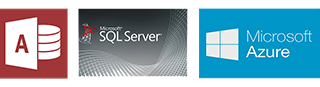Microsoft Database Support Services