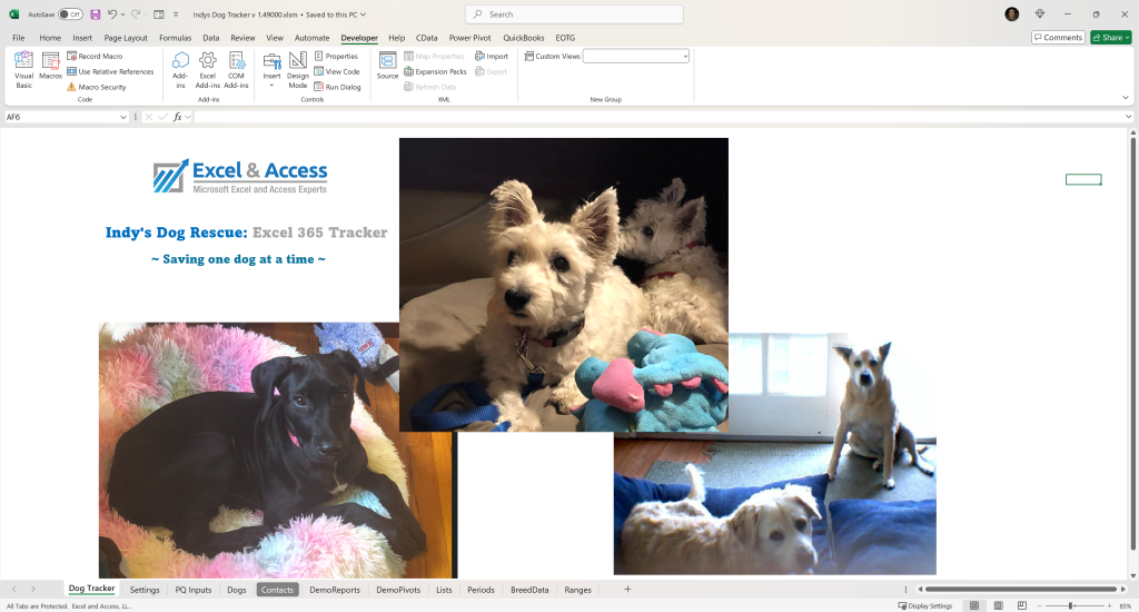 Dynamic Excel Tracker Templates for Business Blog Post: Image of Intro page.
