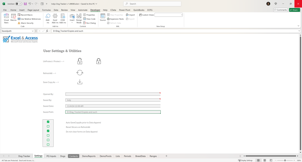 Dynamic Excel Tracker Templates for Business Blog Post: Image of Settings tab for the user.
