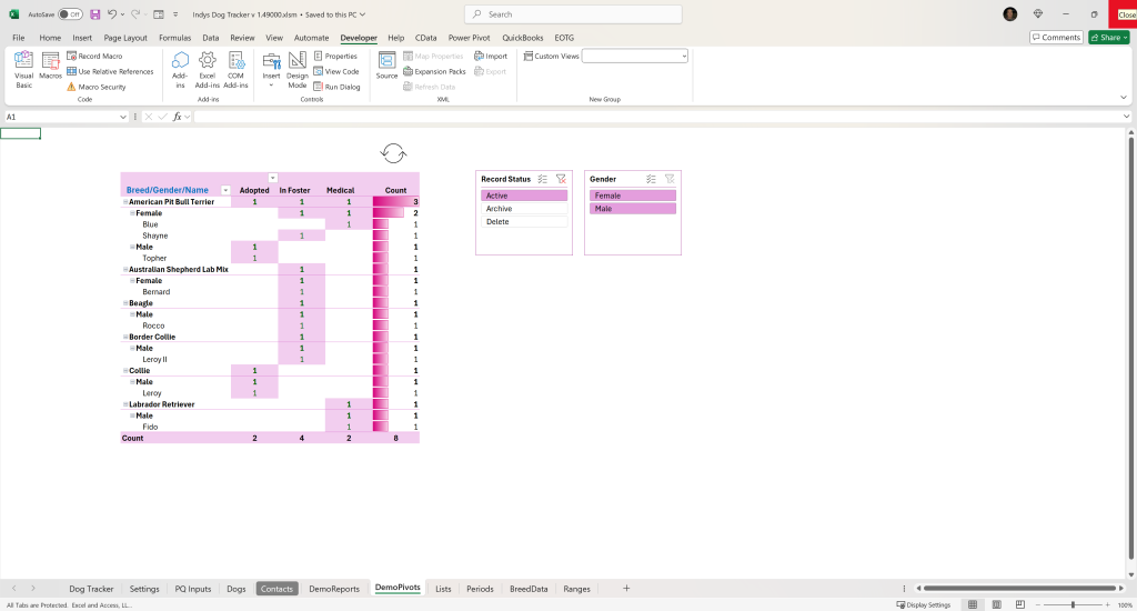 Dynamic Excel Tracker Templates for Business Blog Post: Image of basic Excel Pivot Table with Slicers.