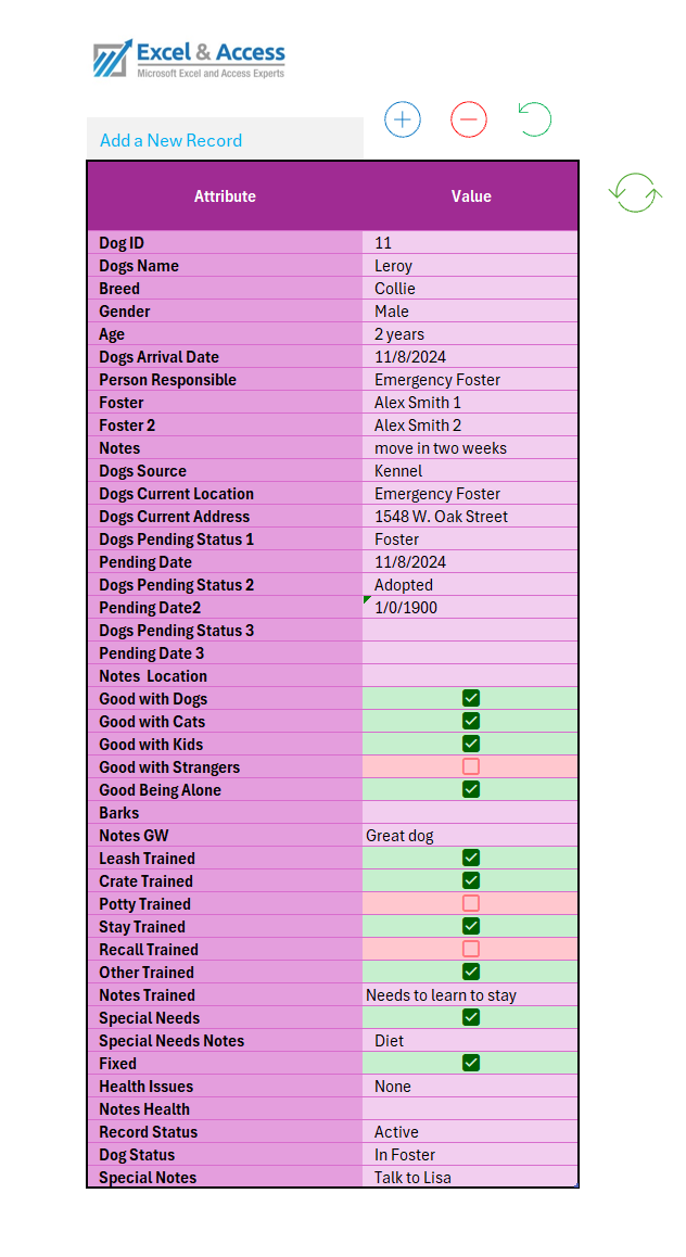 Image of Table being used to enter data on the dogs database.